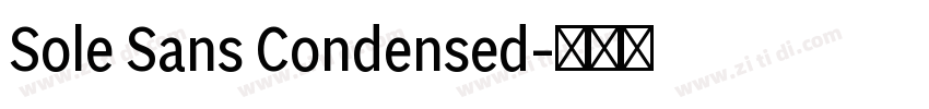 Sole Sans Condensed字体转换